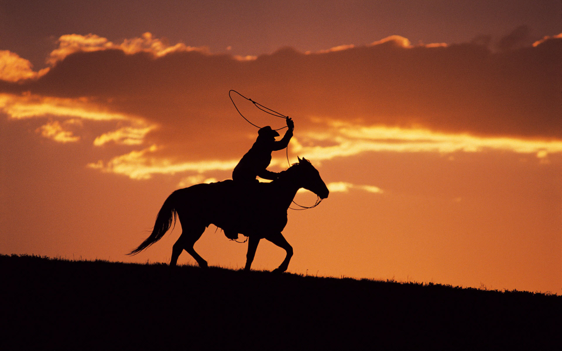 Western Cowboy at Sunset340921586